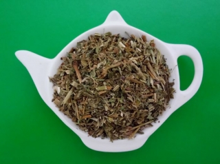 RDESNO BLEŠNÍK - VRBICE BÍLÁ nať sypaný bylinný čaj | Centrum bylin