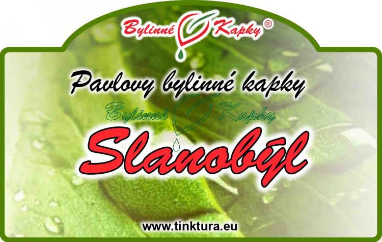 SLANOBÝL kapky (tinktura) 50ml | Bylinné kapky