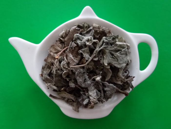MUŇA MUŇA nať sypaný bylinný čaj | Centrum bylin 
