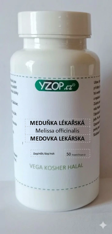 MEDUŇKA LÉKAŘSKÁ - 50 kapslí | YZOP