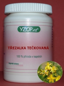 TŘEZALKA TEČKOVANÁ - 50 kapslí | YZOP