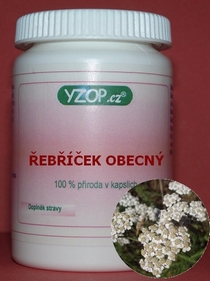 ŘEBŘÍČEK OBECNÝ - 50 kapsli | YZOP