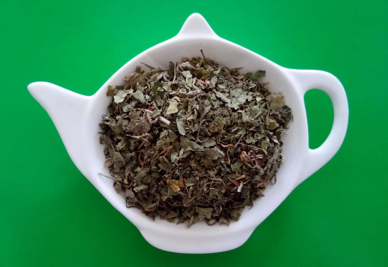 PUPEČNÍK (GOTU KOLA) sypaný bylinný čaj | Centrum bylin