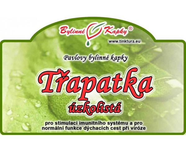 ECHINACEA ANGUSTIFOLIA kapky (tinktura) 50ml | Bylinné kapky