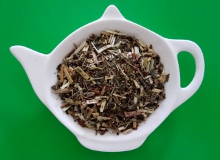 TUŽEBNÍK JILMOVÝ nať sypaný bylinný čaj | Centrum bylin