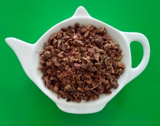 MOCHNA NÁTRŽNÍK kořen sypaný bylinný čaj | Centrum bylin