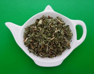 ČISTEC LESNÍ nať sypaný bylinný čaj | Centrum bylin 