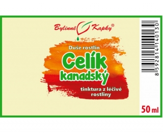 CELÍK KANADSKÝ kapky (tinktura) 50ml | Bylinné kapky