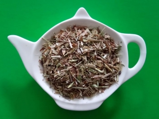 SVÍZEL SYŘIŠŤOVÝ nať sypaný bylinný čaj 50g | Centrum bylin 