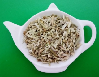 ČEKANKA OBECNÁ nať sypaný bylinný čaj | Centrum bylin 