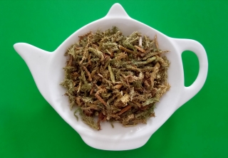PLAVUŇ VIDLAČKA nať sypaný bylinný čaj | Centrum bylin
