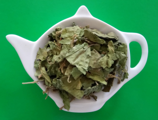 GYMNEMA LESNÍ list sypaný bylinný čaj | Centrum bylin