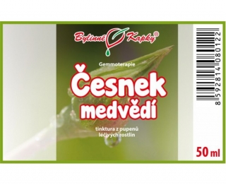 ČESNEK MEDVĚDÍ pupeny (gemmoterapie) 50 ml | Bylinné kapky