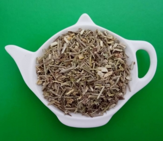 SPORÝŠ LÉKAŘSKÝ sypaný bylinný čaj | Centrum bylin