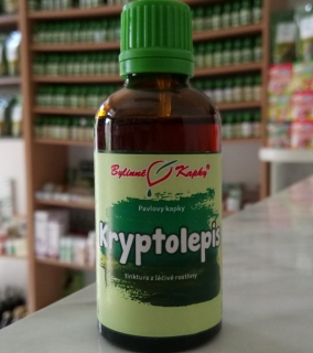 KRYPTOLEPIS kapkury (tinkta) 50ml | Bylinné kapky