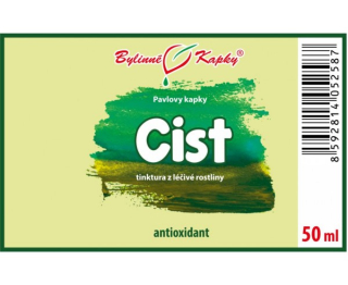 CIST (růže cistová - skalní) kapky (tinktura) 50ml | Bylinné kapky