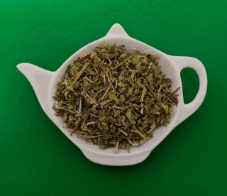 ČISTEC PŘÍMÝ nať 50g sypaný bylinný čaj | Centrum bylin