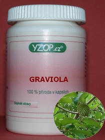GRAVIOLA (GUANÁBANA) - 50 kapslí | YZOP