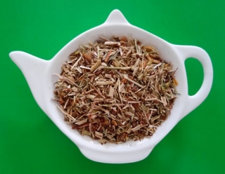 TŘEZALKA TEČKOVANÁ nať sypaný bylinný čaj | Centrum bylin 