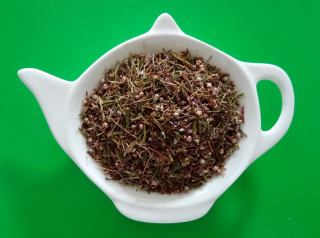 VŘES OBECNÝ nať sypaný bylinný čaj | Centrum bylin 