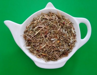 ZEMĚŽLUČ LÉKAŘSKÁ nať sypaný bylinný čaj | Centrum bylin 