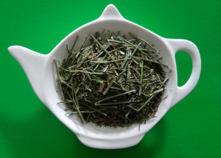 PRÁVENKA LATNATÁ - ANDROGRAPHIS - nať sypaný bylinný čaj | Centrum bylin